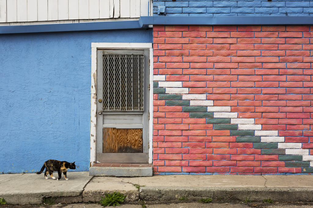 kat, vindue, arkitektur, by-, væg, mursten, træ, hus, Canon, Californien, dør, henfald, Mursten, 50mm, hjem, murstens væg, 5dmarkiii, facade, San Jose, Urban Decay, murværk, sidespor, Silicon Valley, lostsanjose, joshmarcotte, murer, screendoor