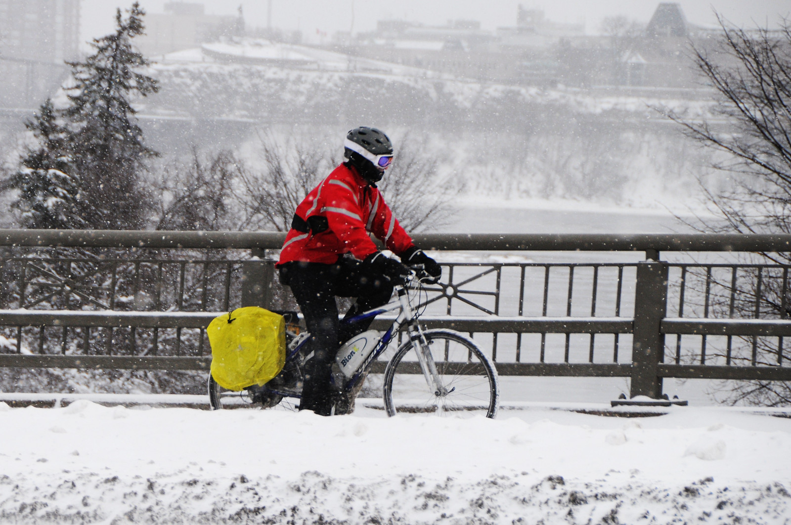 sníh, zima, zmrazení, strom, vánice, zimní bouře, cyklistika, led, osobní ochranné prostředky, vozidlo