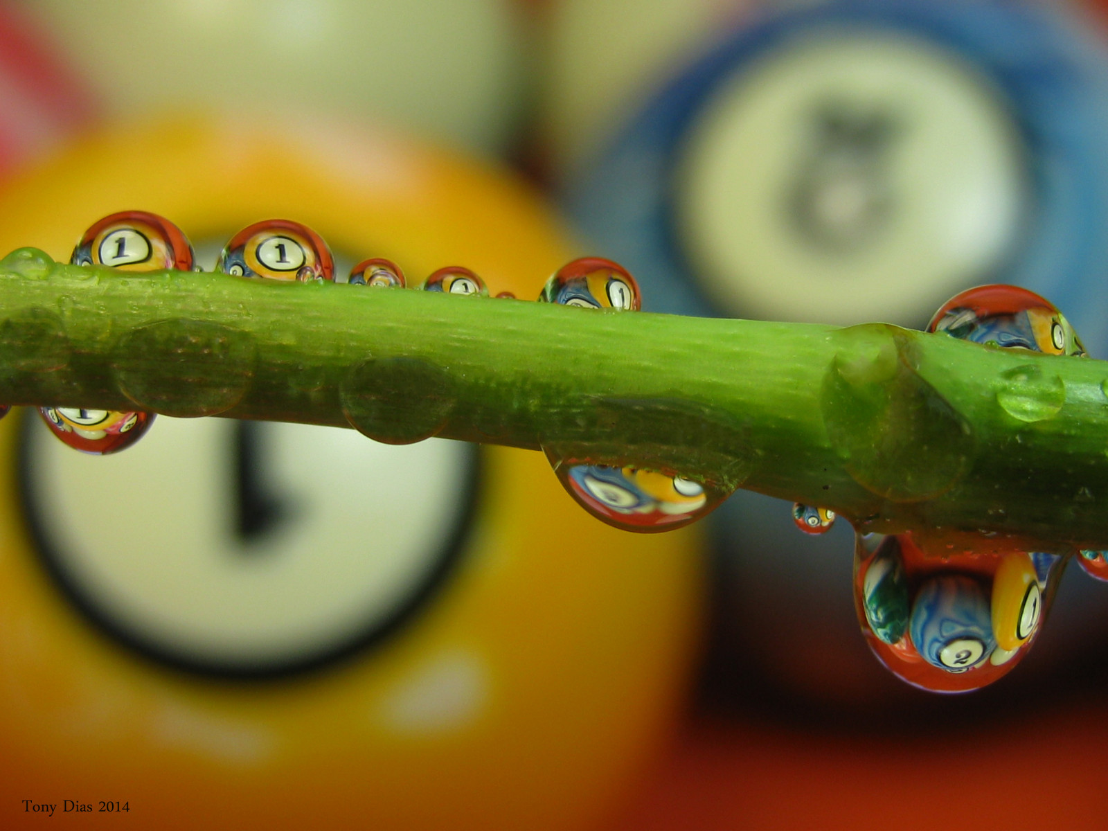 jídlo, voda, odraz, fotografování, makro, zelená, žlutý, modrý, míče, barva, list, květ, oko, pokles, počítač tapeta, vyrobit, orgán, zblízka, makro fotografie, kulečník, reflectio