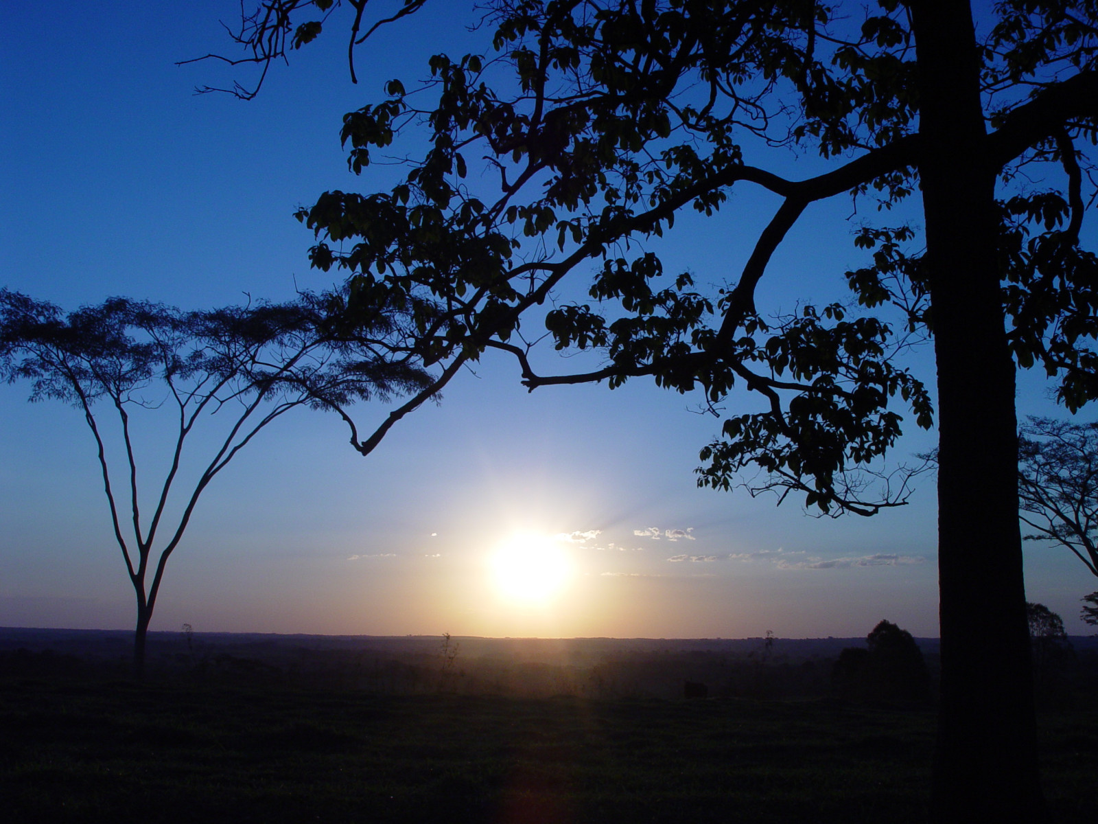 slunečnímu záření, krajina, západ slunce, Příroda, nebe, větev, svítání, uklidnit, večer, ráno, slunce, horizont, atmosféra, soumrak, Brazílie, Brasil, slunce, mrak, strom, svítání, anawesomeshot, naturesfinest, instantfave, abigfave, theperfectphotographer, Soe, během dne, diamondclassphotographer, flickrdiamond, sp, ultimateshot, supershot, excellentphotographerawards, počítač tapeta, Atmosféra Země, odlesk, top20blue, jev, poente, Saojosedoriopreto