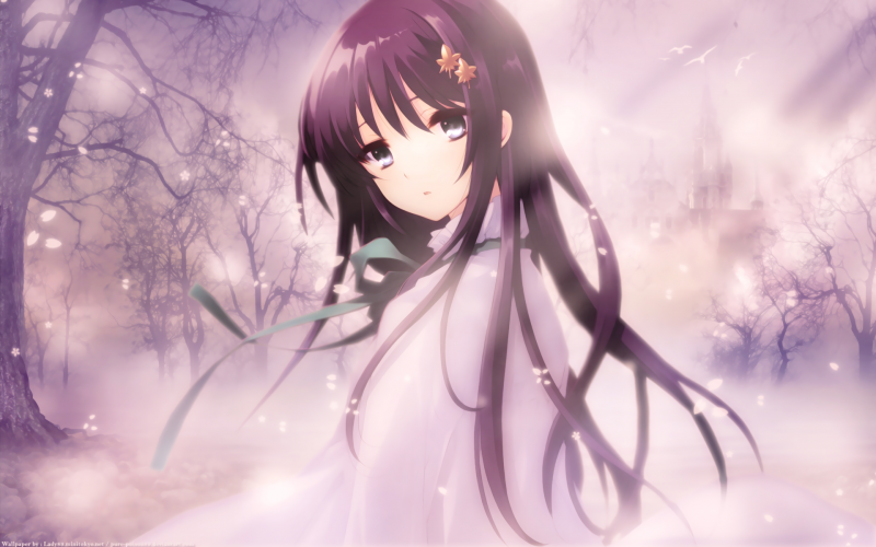 illustration, anime, manga, computer wallpaper, mangaka illustration, anime, manga, computer wallpaper, mangaka