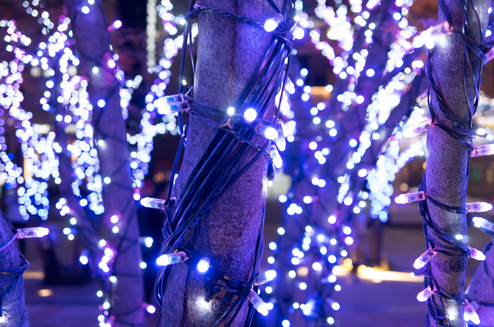 Japonsko, noc, modrý, Vánoce, Vánoční osvětlení, Leica, Tokio, jp, světlo, osvětlené, osvětlení, představení, fáze, T, leicat, summicront235, Summicron, t235, tokyomidtown, vánoční dekorace, hudební divadlo