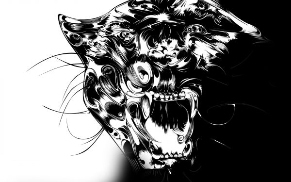 panther,predator,teeth,patterns,lines