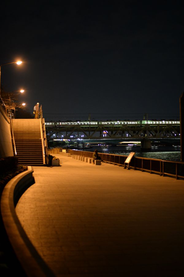 Japan,cityscape,night,reflection,evening,morning