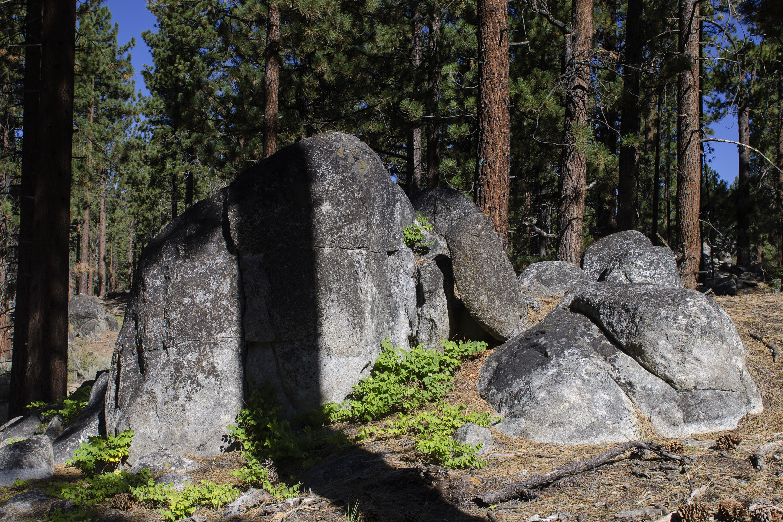ต้นไม้, แนวนอน, ป่า, ภูเขา, เนินเขา, ทะเลสาบ, หิน, หิน, กลางแจ้ง, เงา, แคลิฟอร์เนีย, หิน, หิน, สหรัฐอเมริกา, เดินป่า, ตะวันตก, ซากปรักหักพัง, เนวาดา, Boulder, อนุสาวรีย์, อนุสรณ์, ตะวันตก, ต้นไม้, ธุดงค์, ภาคเหนือ, เซียร่า, เรา, ca, Tahoe, ก้อนหิน, ประวัติศาสตร์สมัยโบราณ, โบราณสถาน, หินแกรนิต, ขรุขระ, โผล่ขึ้นมา, เมกะไบต์