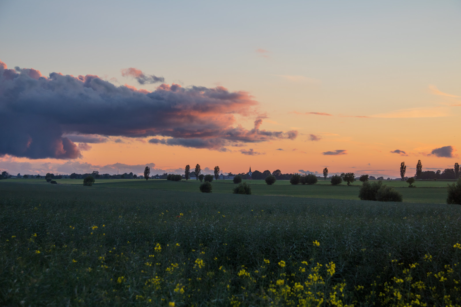 slunečnímu záření, krajina, západ slunce, kopec, Příroda, tráva, nebe, pole, svítání, večer, ráno, slunce, horizont, soumrak, slunce, mrak, květ, svítání, lučina, zlatá hodina, nebe, solnedg ng, venkov, moln, landsbygd, s dersl tt, landskap, exif modelu canoneos760d, geocountry, Kamera aby kánon, geocity, Model fotoaparátu canoneos760d, geostate, geolocation, EXIF čočka efs18200mmf3556is, exif aby kánon, EXIF isospeed 100, EXIF otvor 63, exif focallength 50mm, gyllenetimmen, zemědělství, louka, prostý, prérie, venkov, atmosférický jev, odlesk