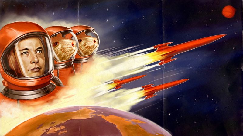 mice,Elon Musk,space,astronaut