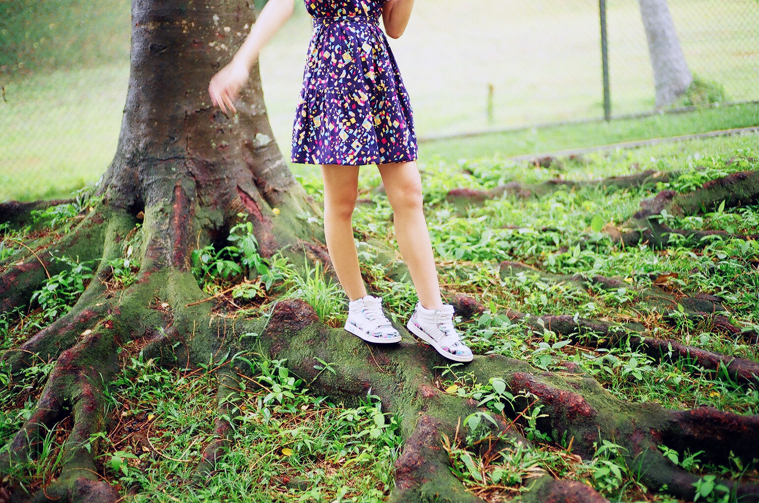 slunečnímu záření, les, Příroda, tráva, fotografování, větev, zelená, tenisky, kořeny, konfety, chodit po špičkách, strom, podzim, list, rostlina, dívka, zábava, krok, Zůstatek, zálesí, dřevina, HiTops