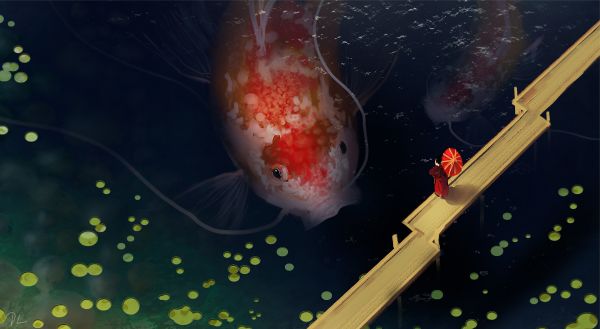 water,underwater,organism,fish,liquid,fluid