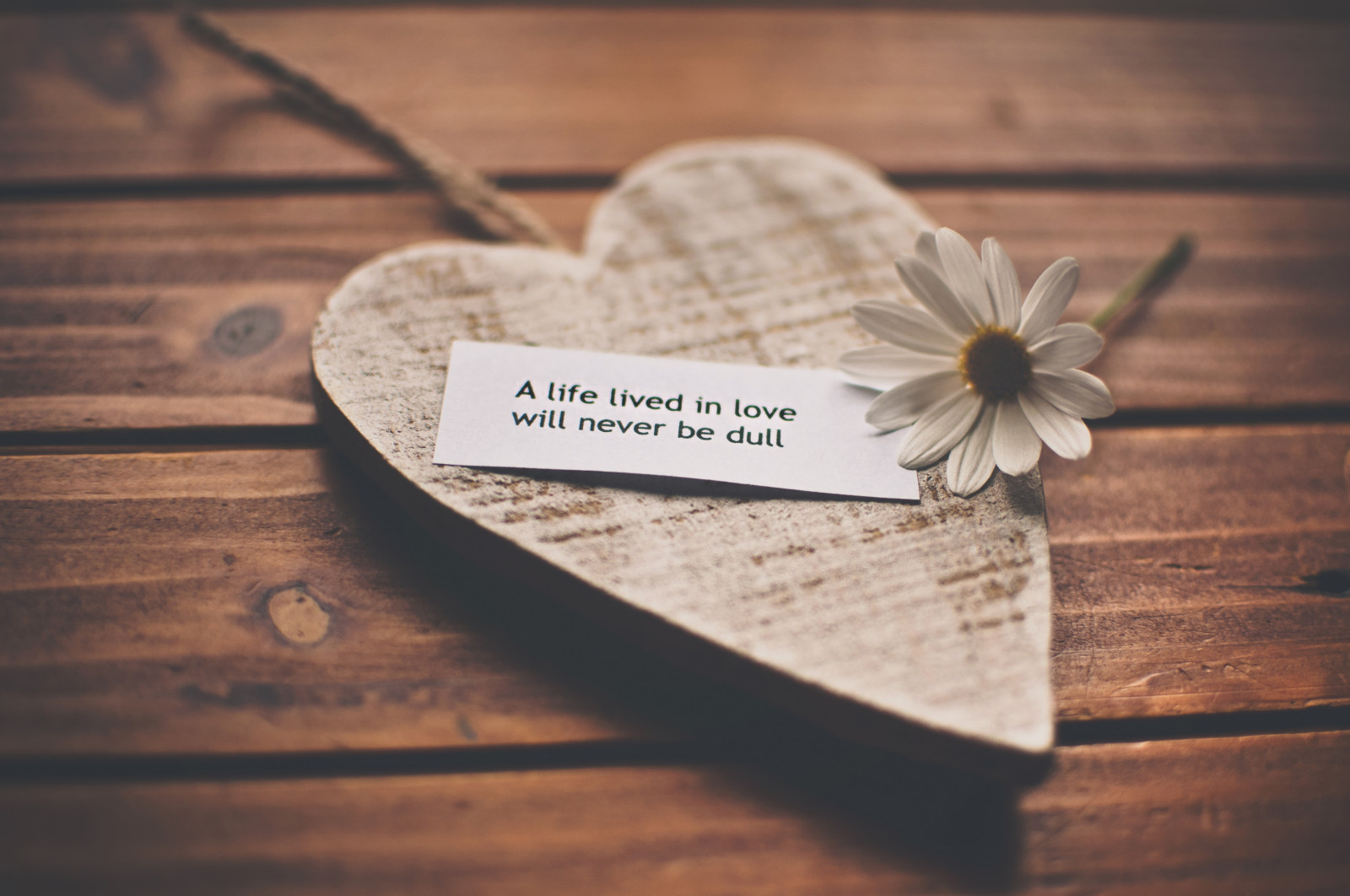 pocity, milovat, romantika, život, uznání, mluvený projev, Sedmikráska, srdce