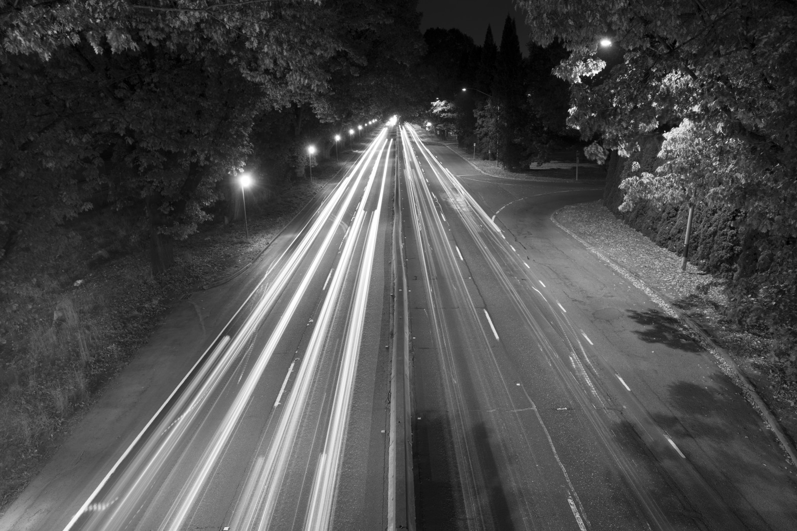 schwarz, Schwarz und weiß, Nacht-, Monochrome fotografie, Infrastruktur, Straße, Licht, Fahrbahn, Dunkelheit, Atmosphäre, Schnappschuss, Baum, Fotografie, einfarbig, Phänomen, Himmel, Strassenlicht, Beleuchtung, Linie, Asphalt, Straßenbelag, Autobahn, Mitternacht, fixed link, Abend, Metropole, stock photography