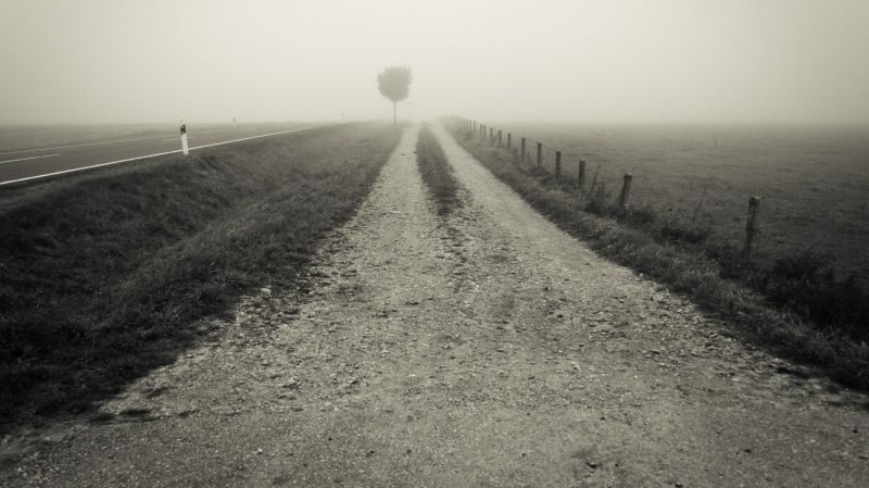 lumière du soleil, paysage, Monochrome, route, Matin, brouillard lumière du soleil, paysage, Monochrome, route, Matin, brouillard