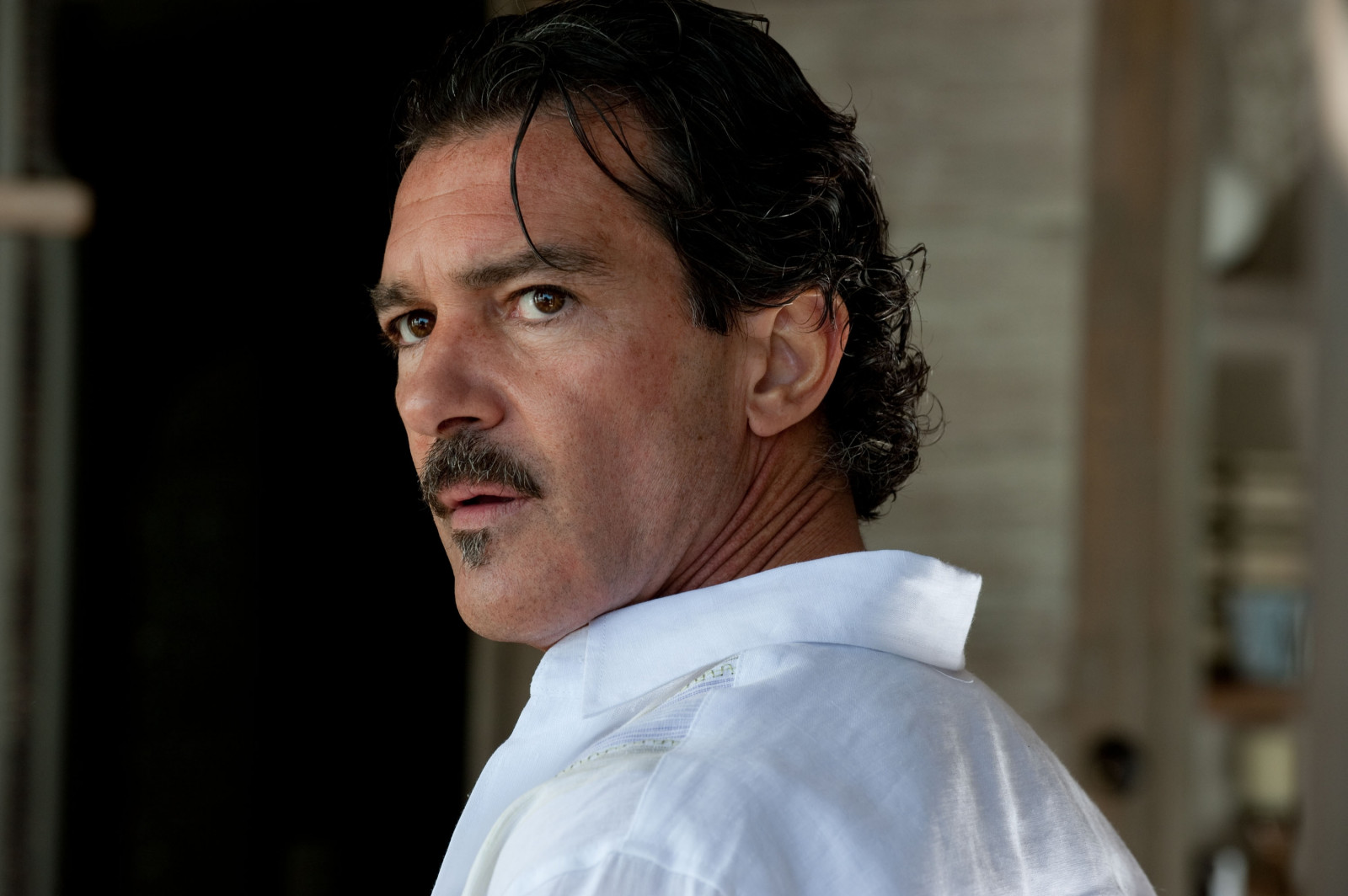 antonio_banderas_shirt_man_mustache_looking-733788.jpg!d