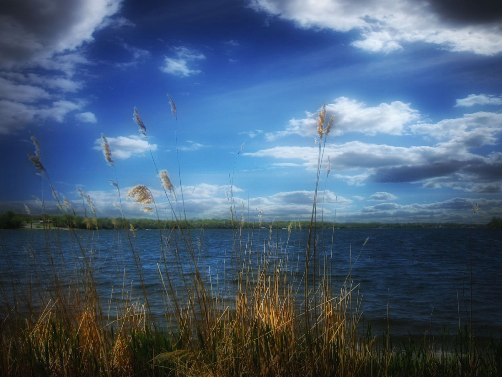 Wallpaper blue, lake, water, grass, rural, weeds, skies, shore, northdakota, prairie