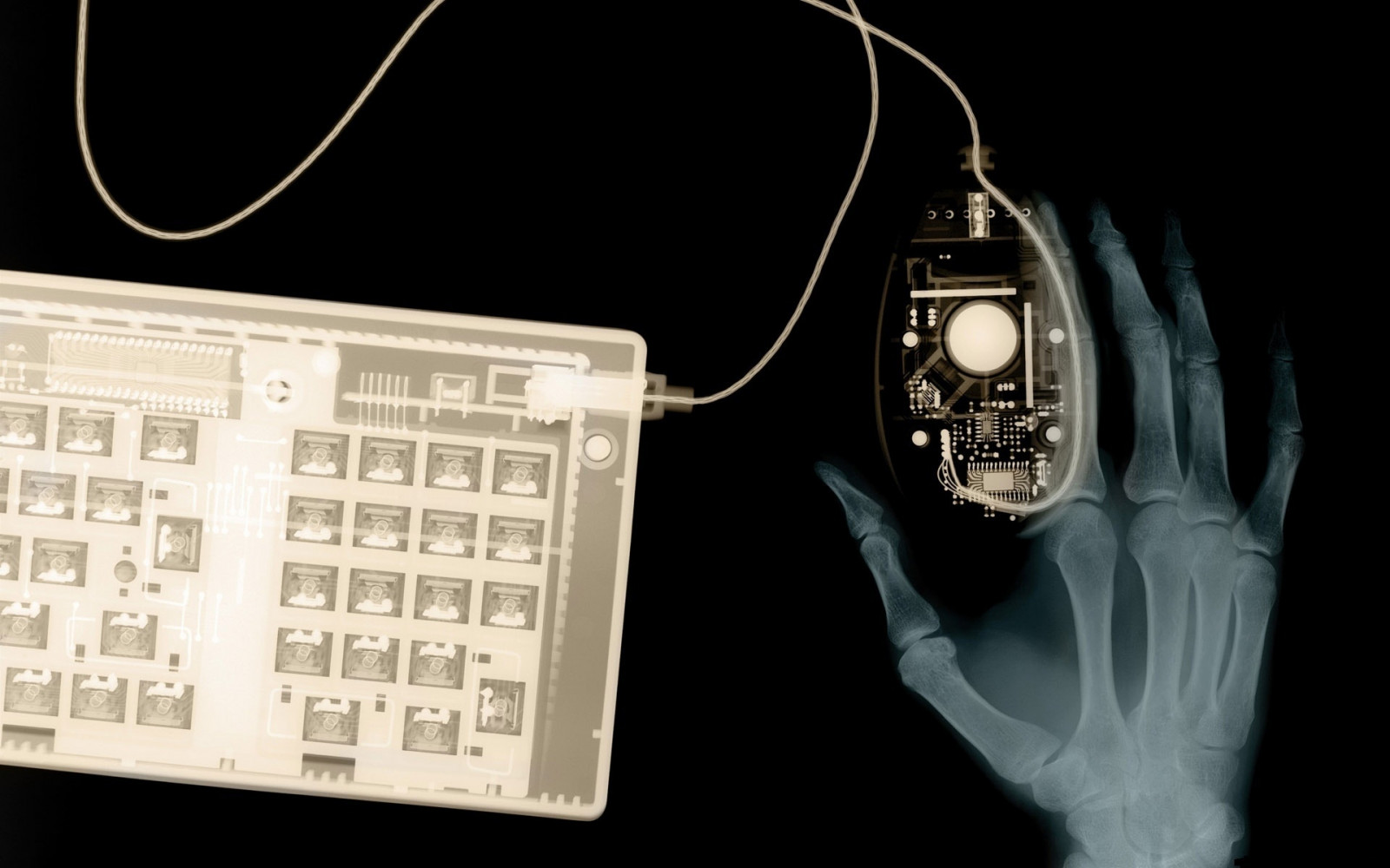 light, hand, mouse, notebook, font, x ray, scheme