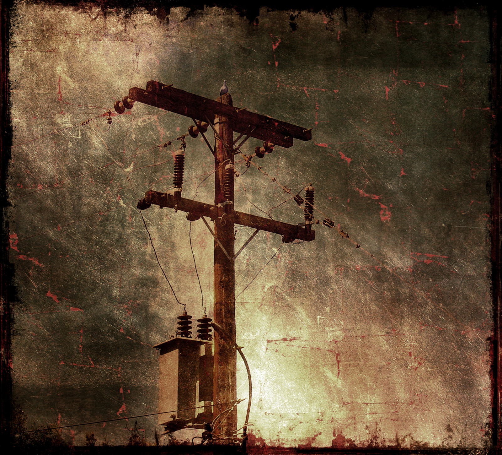 pták, texturou, tatot, electricpile