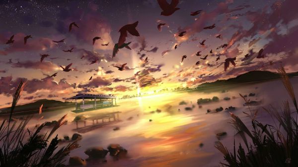 sunlight, birds, sunset, sea, reflection, sky
