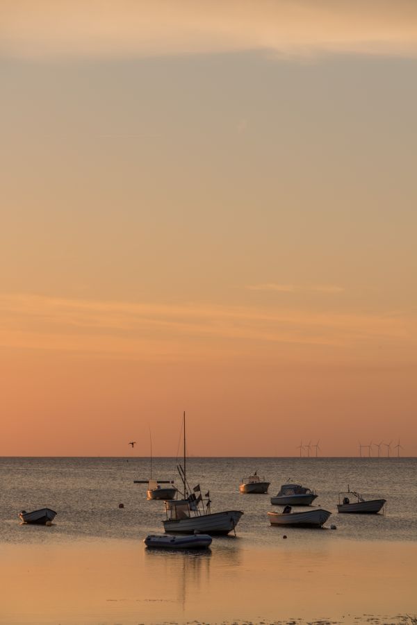 boat, sunset, sea, water, bay, shore