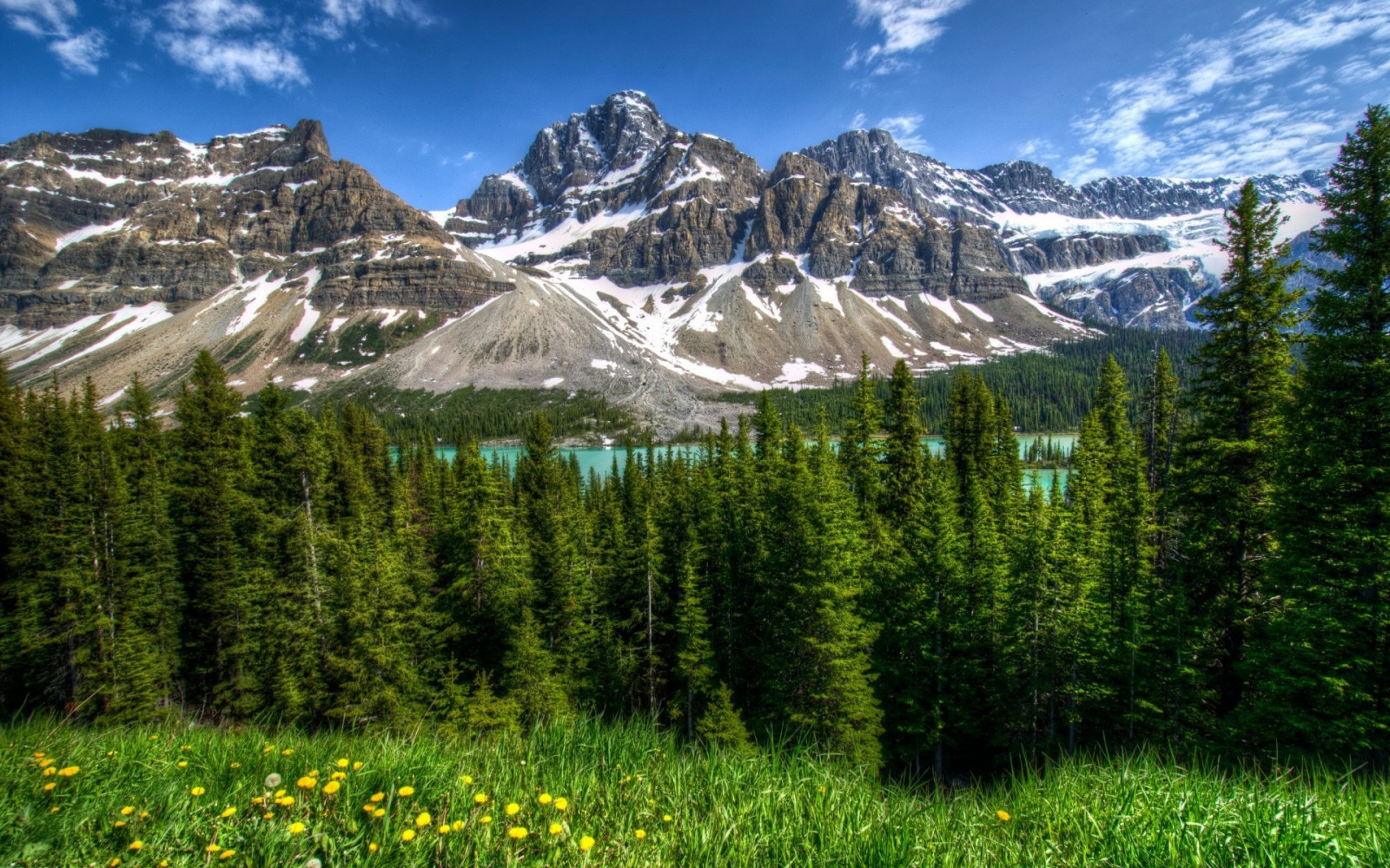 Wallpaper landscape, lake, nature, spruce, national park, valley