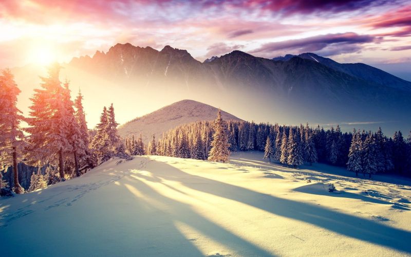 sunlight, landscape, forest, sunset, nature, snow sunlight, landscape, forest, sunset, nature, snow