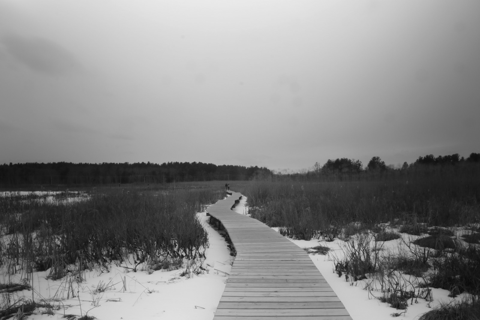 slunečnímu záření, krajina, les, lidé, bílý, černobílý, Příroda, nebe, sníh, zima, Země, ráno, mlha, zeměkoule, Objev, zkoumání, venkovský, světlo, Černý a bílý, longexposure, expozice, majestátní, Krásná, hloubka pole, cestovat, počasí, prozkoumat, sezóna, Černá bílá, greatphotographers, blackandwhitephotography, dof, BNW, ngc, krajiny, silný, Nová Anglie, malebný, longexposures, atmosférický jev, Černý a bílý, monochromatické fotografování, vynikající, blackandwhitephotos, lesy, ruralamerica, zachycovat, greatnature, blackandwhiteonly, blackandwhitepics, bnwnature, bnwarchitecture