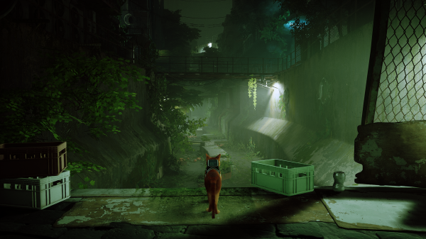 stray,screen shot,video game animals,video games,cats,Video Game Art