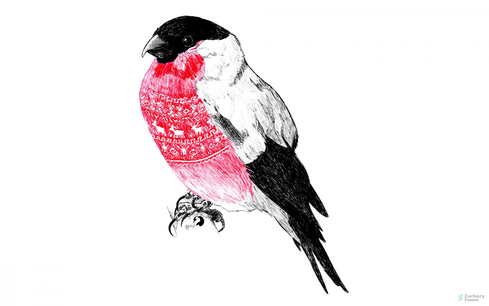 tekening, illustratie, trui, traditionele kunst, Goudvink, vogel, neerstrijken vogel, gewerveld