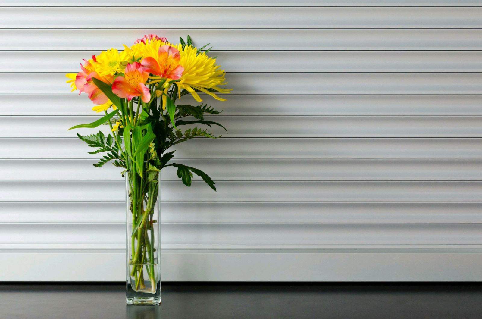 fiori, fotografia, verde, giallo, interior design, fiore, pianta, 2560x1695 px, per finestre, floristica, trattamento finestra, bouquet di fiori, addobbi floreali, disegno floreale, tagliare i fiori