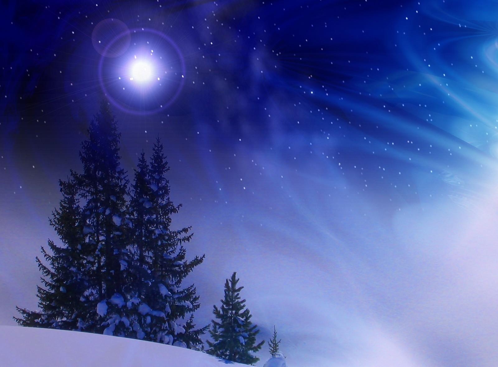 kerstbomen, sneeuw, winter, middernacht, sneeuwstorm