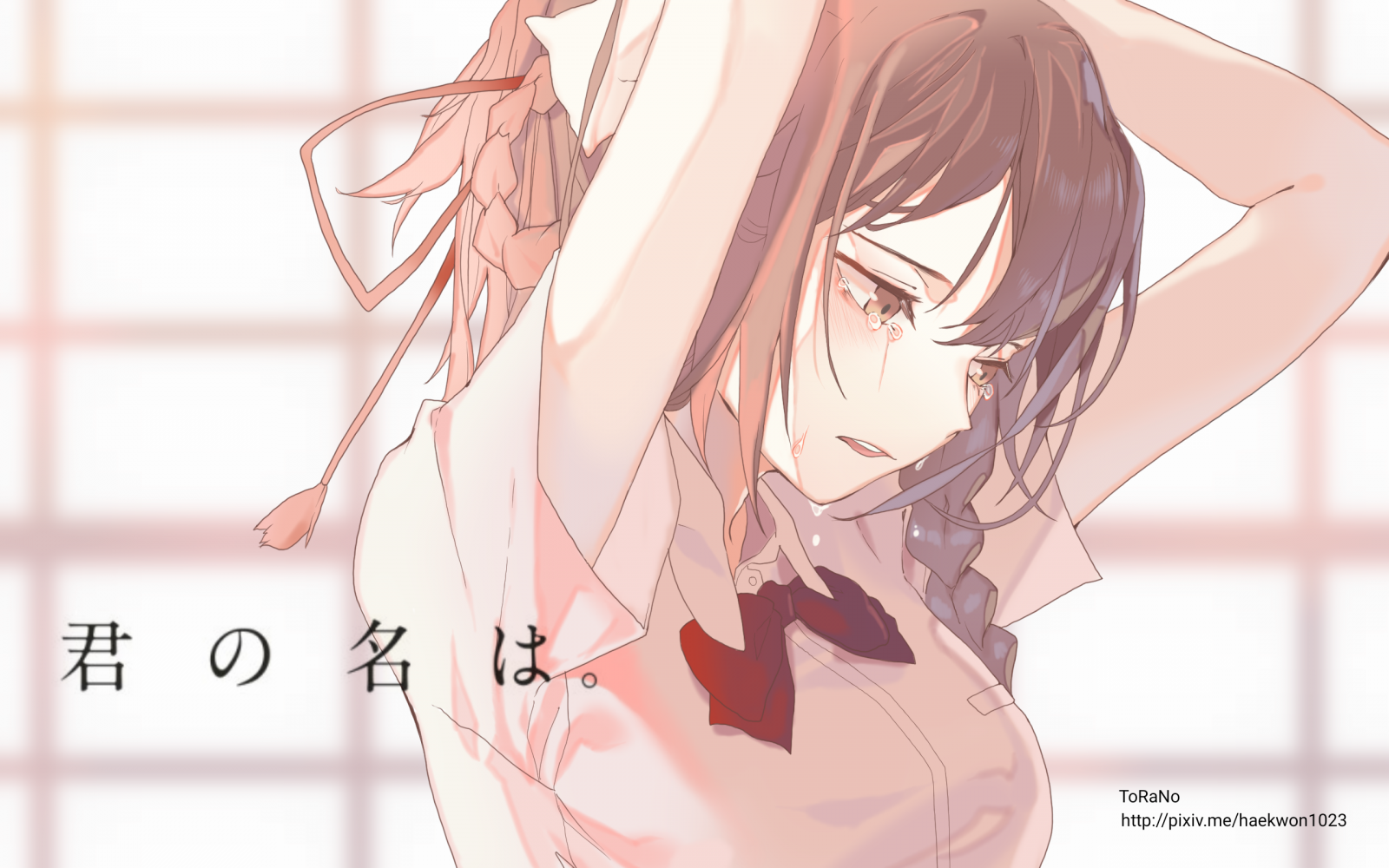 Kimi no Na Wa, 动漫女孩, 宫崎骏