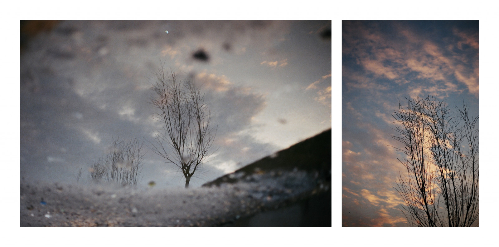 slunečnímu záření, krajina, nebe, sníh, zima, větev, ráno, mráz, Kánon, atmosféra, 35MM, zmrazení, mrak, strom, 50mm, f18, analogový, fuji, film, analog, FUJICOLOR, 135, větvička, počítač tapeta, meteorologický jev, jev, canona1, asa200, fujicolorc200, stock photography