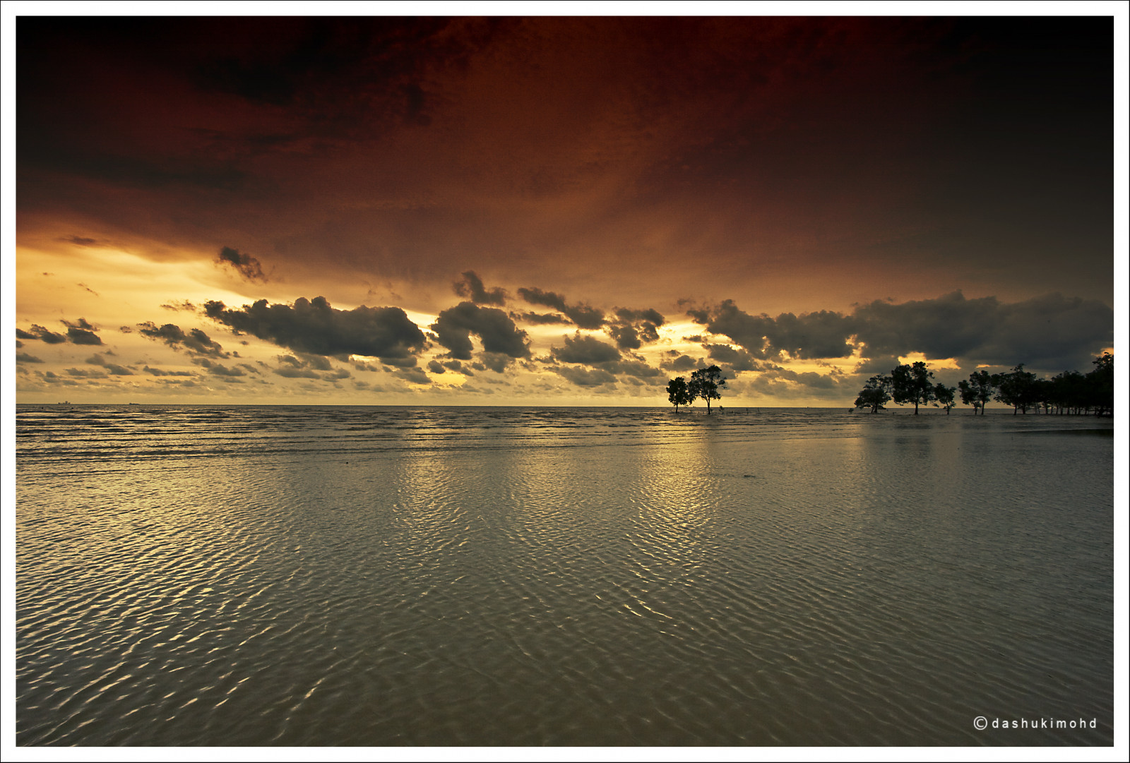 stromy, krajina, světla, západ slunce, moře, voda, Příroda, pobřeží, odraz, nebe, mraky, pláž, svítání, uklidnit, večer, ráno, slunce, horizont, Malajsie, soumrak, mír, mrak, svítání, oceán, canon400d, odlesk, meteorologický jev, 1022mm, canonefs1022mmf3545usm, awe2020, Banting, Pantaikelanang, stock photography
