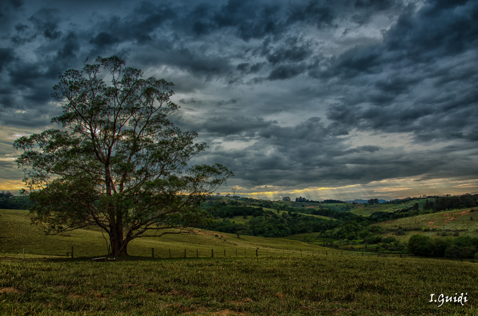 landskab, Skov, bakke, natur, græs, himmel, Mark, skyer, aften, morgen, gård, horisont, Nikon, skumring, azul, campo, Raseri, Sky, træ, efterår, overskyet, blad, blomst, dage, daggry, græsarealer, plante, D7000, eng, almindeligt, tempo, fazenda, arvore, chuva, nuvens, landdistrikt, levested, atmosfærisk fænomen, vedplante, meteorologisk fænomen, CEU, s tio
