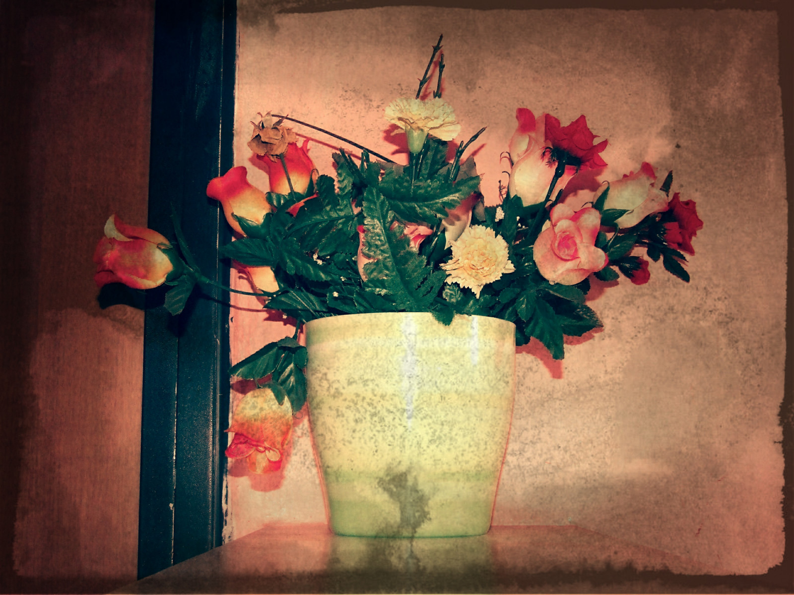Hintergrundbilder : Tür, alt, Rosa, rot, Rosen, Orange, Grün, verlassen ...