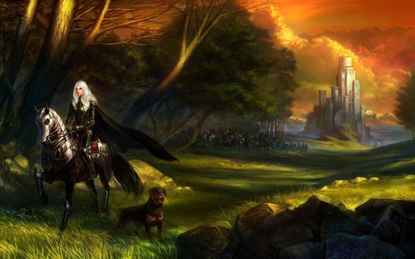 forest, horse, trees, women, fantasy art, white hair