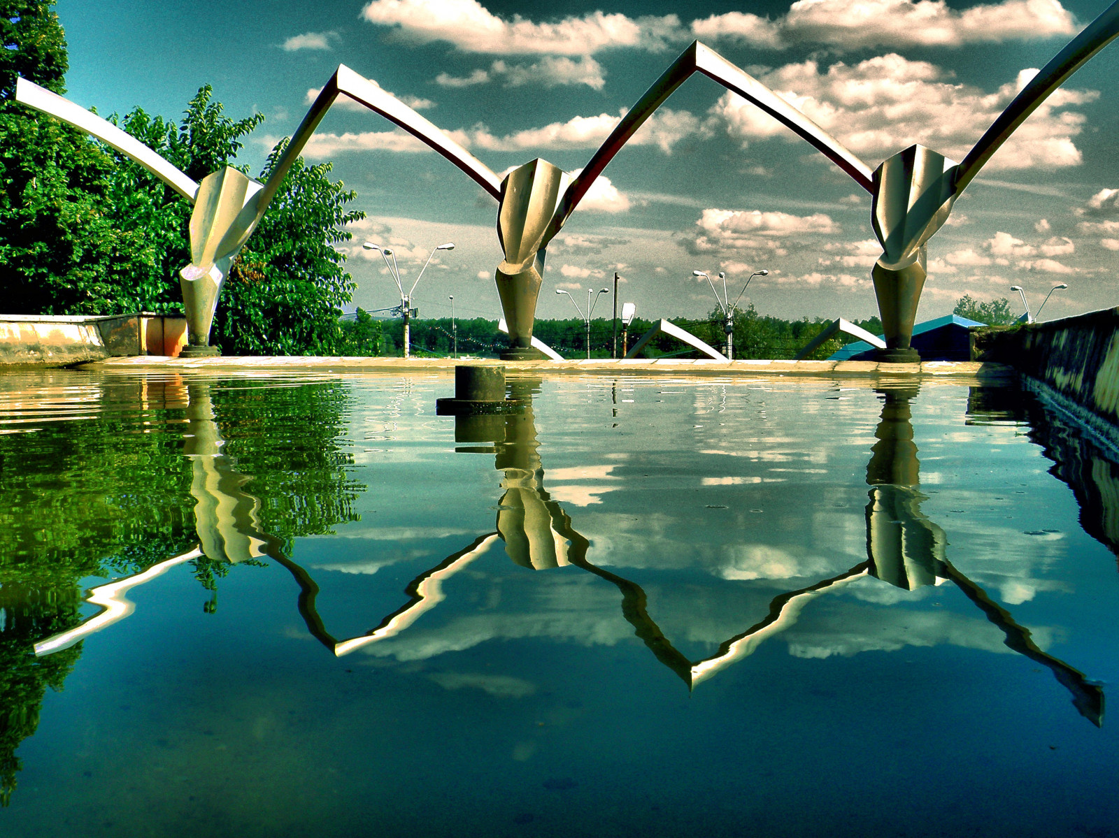 Wallpaper sunlight, sea, water, nature, reflection, wings, swimming