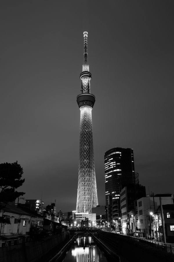 Japan, black, monochrome, city, cityscape, night