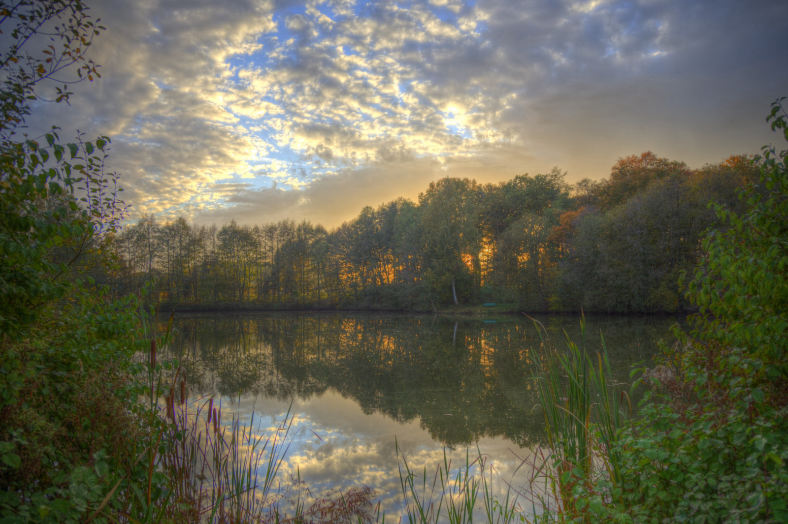 slunečnímu záření, stromy, krajina, les, podzim, západ slunce, jezero, voda, Příroda, odraz, nebe, mraky, svítání, večer, ráno, Německo, seasons, řeka, slunce, HDR, horizont, rybník, soumrak, 2014, světlo, mrak, Krásná, strom, podzim, zakalený, list, flickr, Landschaft, svítání, sezóna, barva, atardecer, nebe, venkov, natur, deutschland, barvy, louka, Soleil, ciel, mraky, mléko, zajímavý, nádrž, skvělý, sonnenuntergang, Herbst, wasser, mraky, syn, eau, Německo, licht, Photomatix, b UME, Lumiere, zpracovává se, arbres, kapesní, zonsondergang, westfalen, Ostwestfalen, autonne, couchesoleil, solfald, grosaschen, helleseee, jezero, venkov, místo výskytu, atmosférický jev