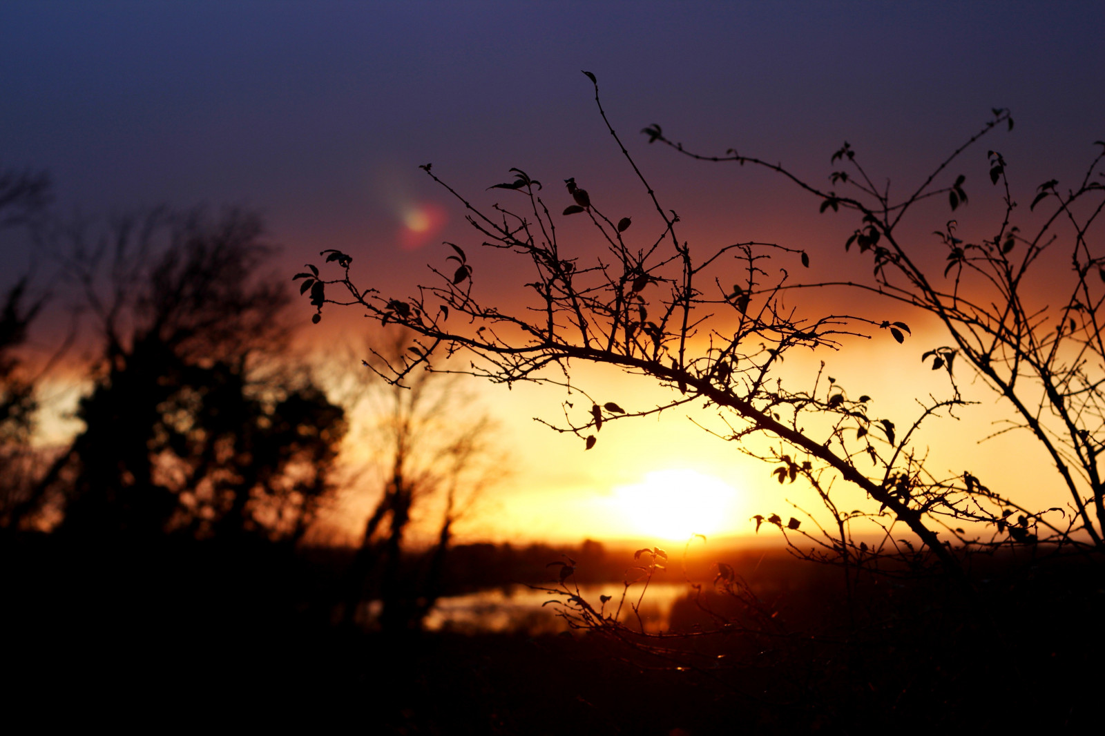แสงแดด, แนวนอน, พระอาทิตย์ตก, ธรรมชาติ, ท้องฟ้า, พืช, ฟิลด์, สาขา, พระอาทิตย์ขึ้น, ตอนเย็น, เช้า, ดวงอาทิตย์, บรรยากาศ, พลบค่ำ, เมฆ, ต้นไม้, รุ่งอรุณ, 5184x3456 px, ปรากฏการณ์บรรยากาศ, สายัณห์, ท้องฟ้าสีแดงตอนเช้า