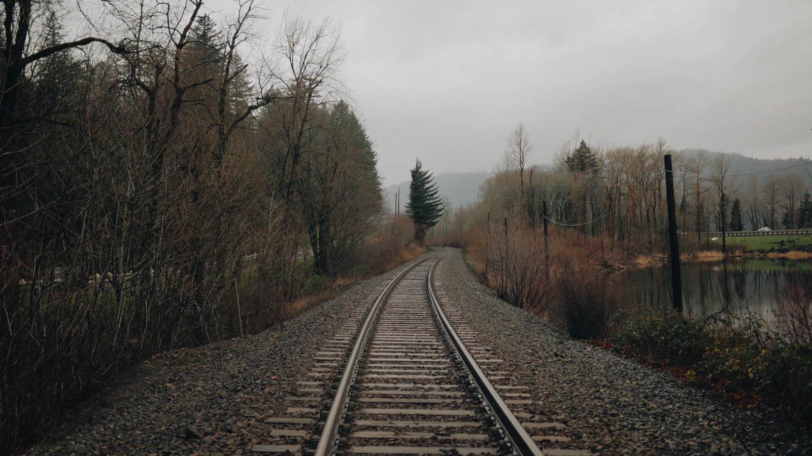 stromy, les, voda, Příroda, vozidlo, silnice, vlak, železnice, ráno, doprava, železniční trať, strom, podzim, dráha, venkov, atmosférický jev, železniční doprava, kolejová vozidla
