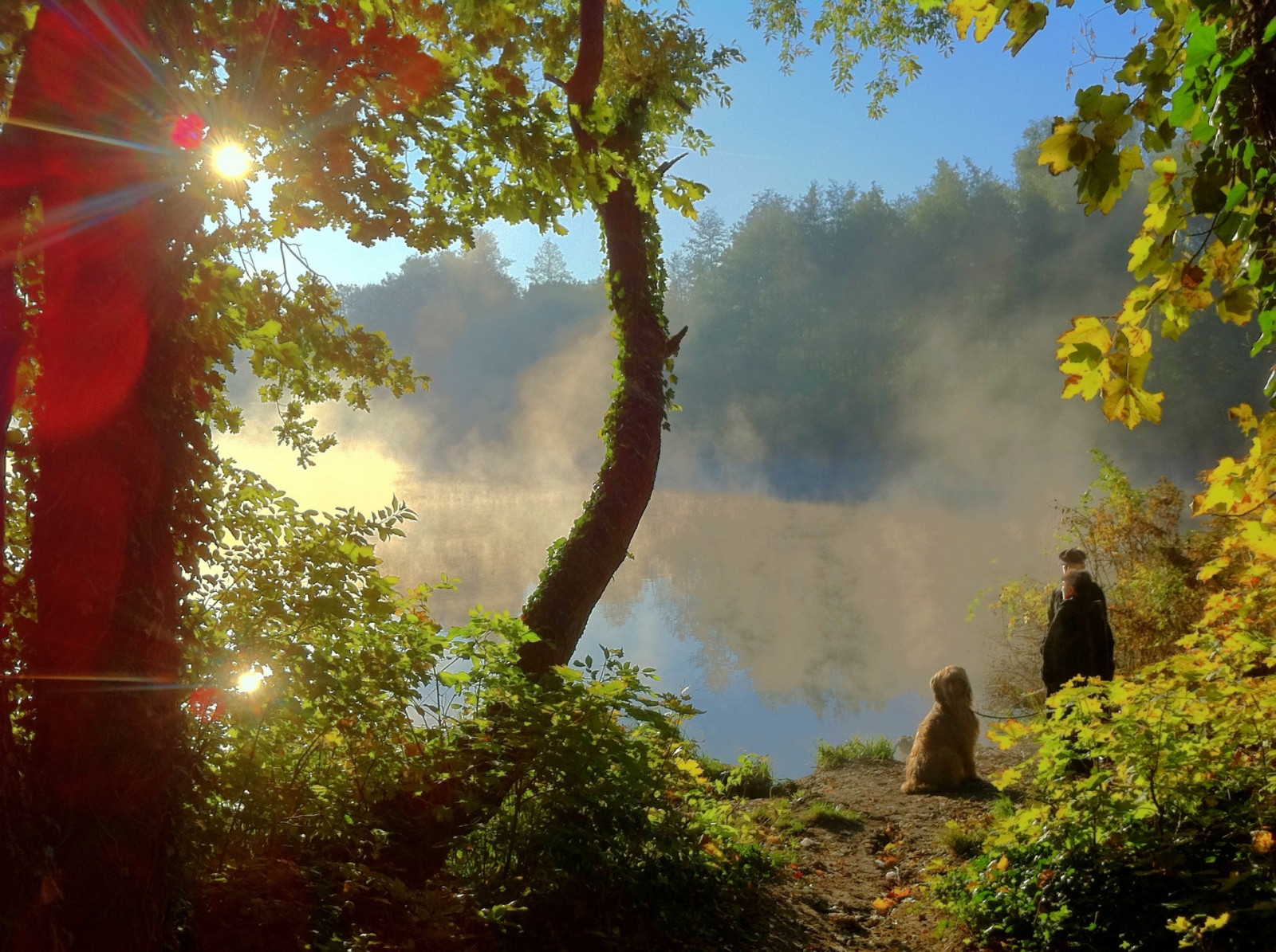 slunečnímu záření, krajina, les, podzim, lidé, zahrada, jezero, voda, Příroda, tráva, nebe, silueta, větev, ráno, Německo, mlha, Pes, slunce, iPhone, džungle, deštný prales, Berlín, perspektivní, Duhovka, UMĚNÍ, světlo, strom, podzim, mlha, list, počasí, psík, vegetace, vidět, menschen, Herbst, wasser, baum, syn, licht, potsdam, Nebel, zálesí, garten, počítač tapeta, biome, prales, smíšený les, opadavý, perspektiva, vlhčí, Sascha, sascha2010, saschaunger, Stahnsdorf, Kleinmachnow, coolfx, machnowersee, irisphotosuite