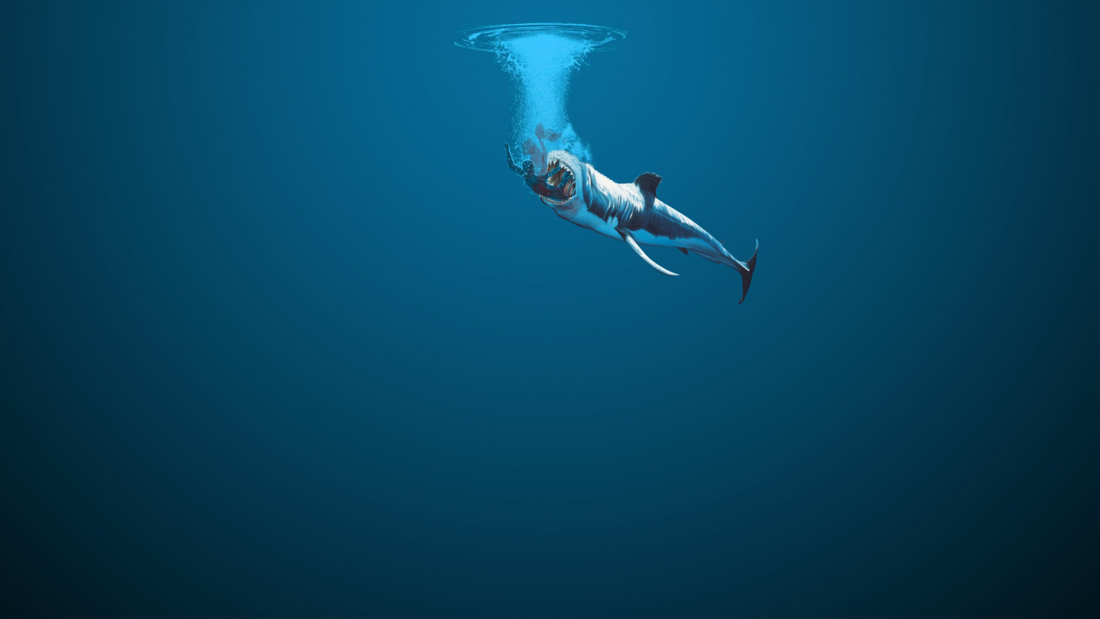 sportovní, zvěř, moře, žralok, umělecká díla, Ryba, modrý, Pod vodou, potápění, biologie, volné potápění, počítač tapeta, extrémní sport, mořská biologie