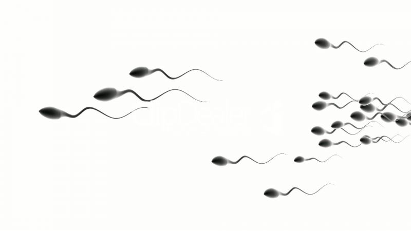 1920x1080 px,1sperm,abstrait,abstraction,Bokeh,cellule