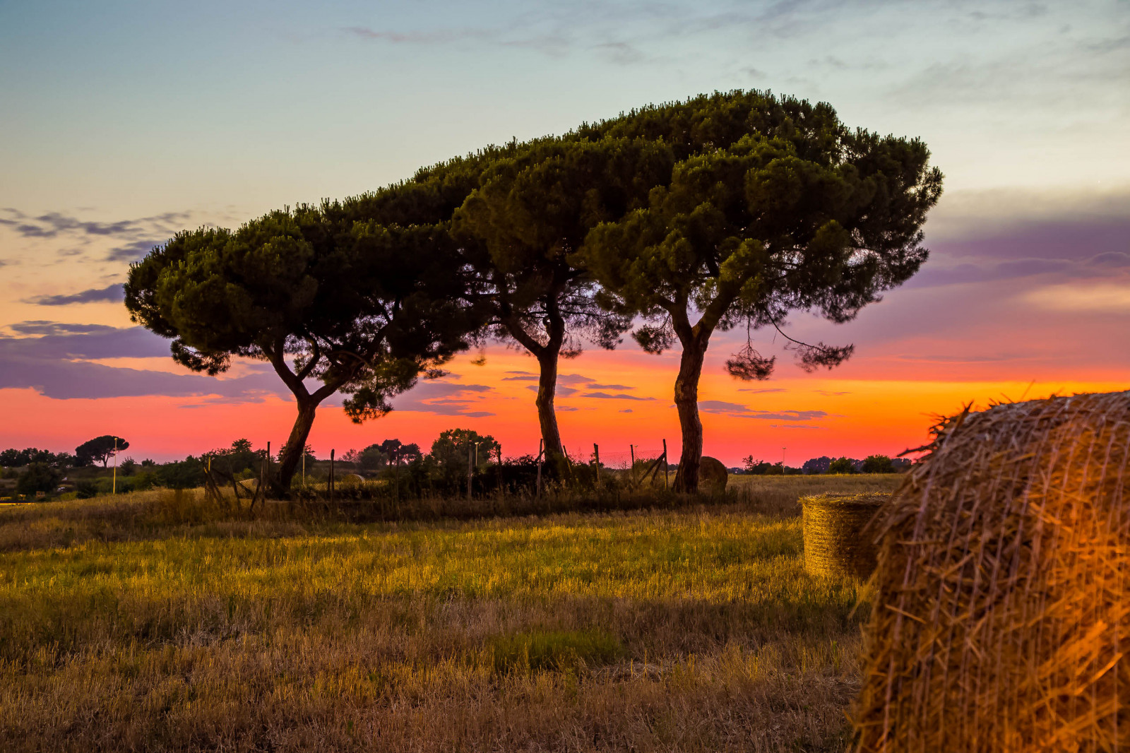 slunečnímu záření, krajina, Černá, kočka, ptactvo, zvěř, západ slunce, architektura, Čína, kopec, auto, tráva, nebe, pole, pláž, svítání, modrý, večer, ráno, kapela, hnědý, Kánon, dítě, Kalifornie, horizont, Kanada, národní park, Vánoce, soumrak, Chicago, Austrálie, Barcelona, Berlín, čest, UMĚNÍ, Černý a bílý, mrak, strom, podzim, svítání, lučina, rostlina, pták, tělesné, narozeniny, kolo, louka, prostý, integrita, prérie, venkov, počítač tapeta, dřevina, savana, ekoregion, Krásné, Církevcloudycloudycolorconcertdancedaydedogenglandeuropefallfamilyfestivalfestivalalfilmfloridaflowerflowersfoodfootballfrancefriendfriendsfungardengeotaggedgermanygirlgraffitigree