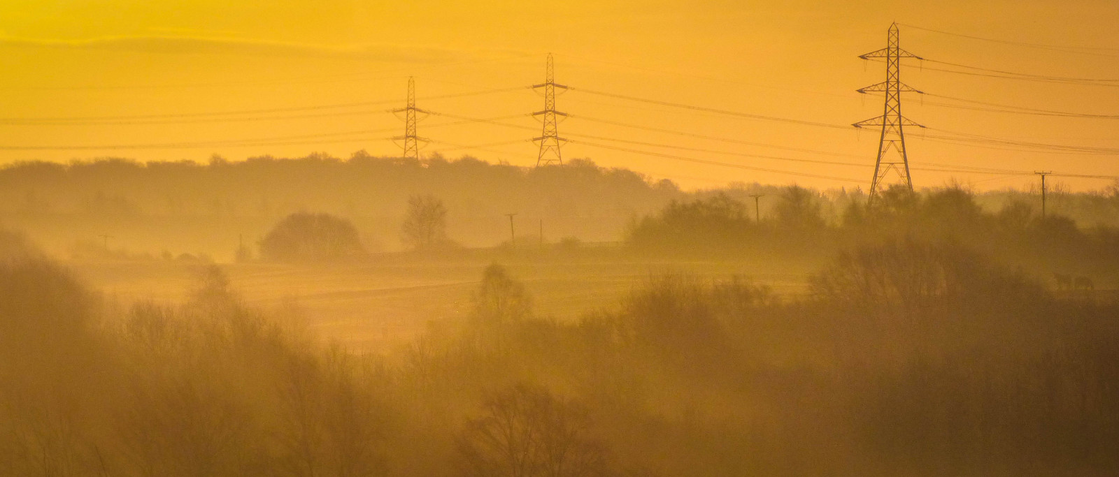 slunečnímu záření, západ slunce, Příroda, kůň, pole, svítání, večer, ráno, mlha, horizont, soumrak, opar, mrak, strom, mlha, počasí, svítání, prostý, prérie, atmosférický jev, tráva rodina, pylon, fairburnings