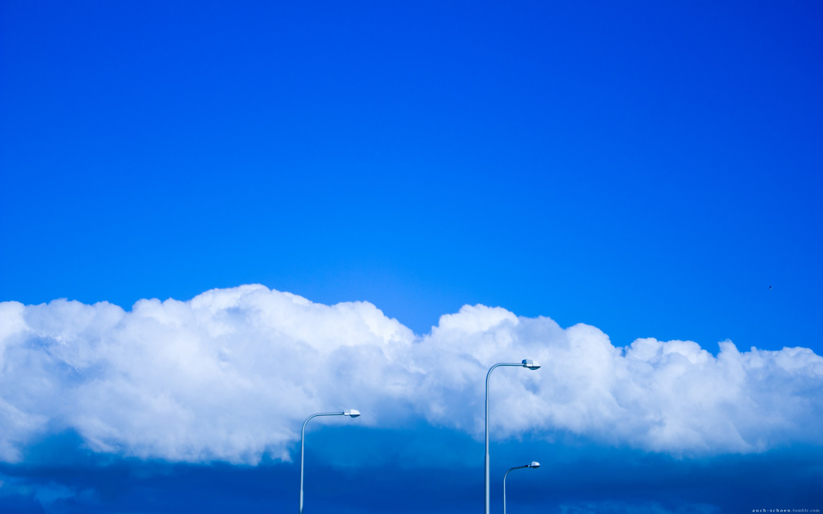 cer, nori, albastru, vânt, orizont, atmosfera, nor, timpul zilei, atmosfera pământului, fenomen meteorologic, cumulus