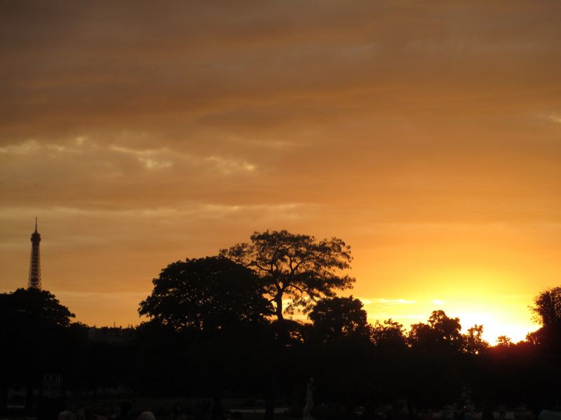 sunlight, sunset, building, sky, sunrise, nature sunlight, sunset, building, sky, sunrise, nature