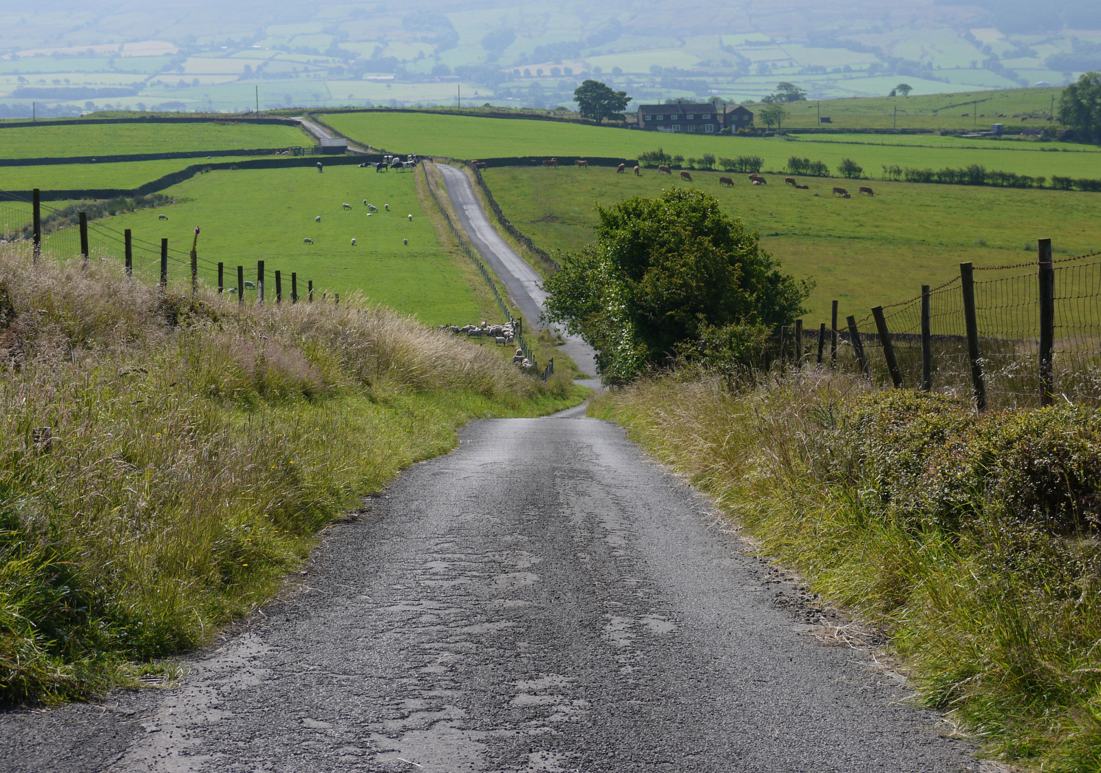 alberi, paesaggio, citazione, collina, erba, campo, strada, strada sterrata, estate, Passo di montagna, recinto, autostrada, trasporto, pecora, asfalto, infrastruttura, zone umide, Esplorare, mucche, campagna, i campi, pista, luglio, agricoltura, pianura, serbatoio, corsia, prateria, suolo, palude, Lancashire, drystonewalls, area rurale, corso d'acqua, cottage, prati, chipping, Ribble Valley, forestofbowland