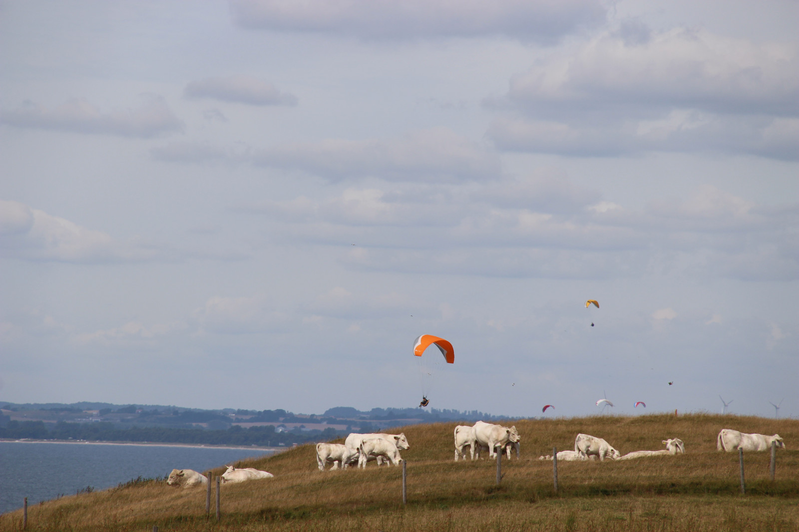 sportovní, nebe, letící, Kánon, paragliding, Let, alestenar, canon100, sk rmflygning, padák, Atmosféra Země, extrémní sport, Windsports, letecké sporty