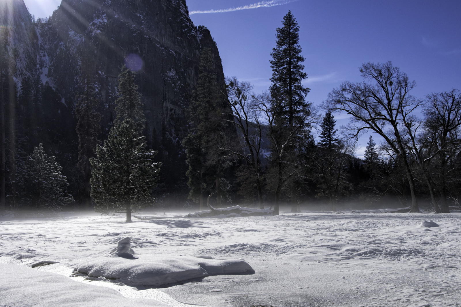 Yosemite, Yosemite National Park, yosemitevalley, landskab, natur, Nationalpark, nikond500, punahou77, parkere, fyrretræer, egetræ, tur, dal, træer, bjerg, himmel, sne, Californien, skyer, silhuet